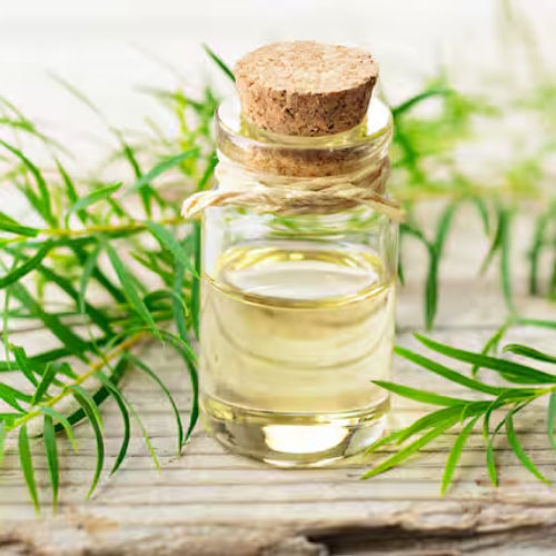 Tea Tree Oil