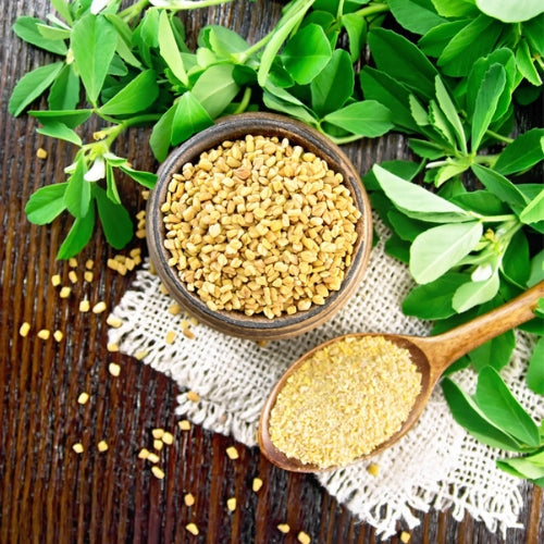 Fenugreek Seeds